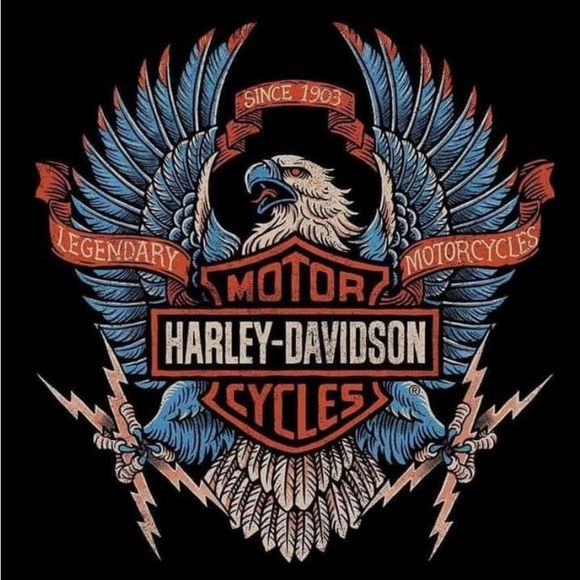 Examples of Harley magnets - Picture 6 of 16